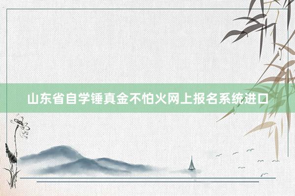 山东省自学锤真金不怕火网上报名系统进口