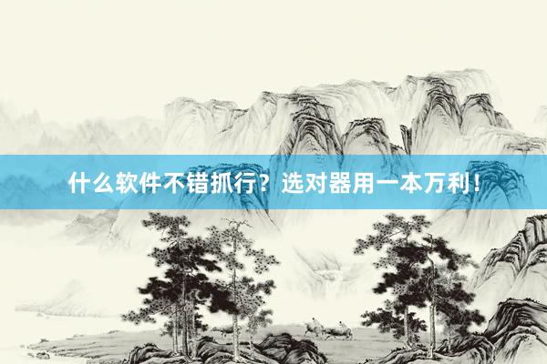 什么软件不错抓行？选对器用一本万利！